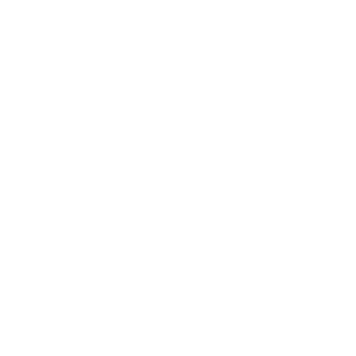 feature-item-4