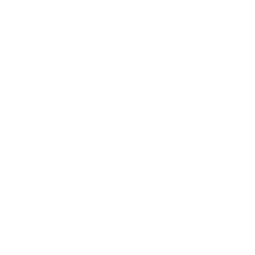 feature-item-1